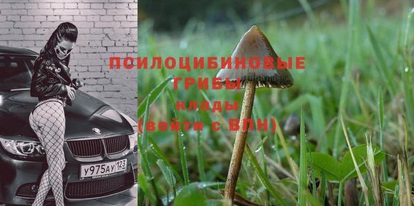дмт Аркадак